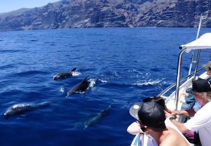 Incleibles Vistas Al Océano Y Piscina. Acantilado de los Gigantes