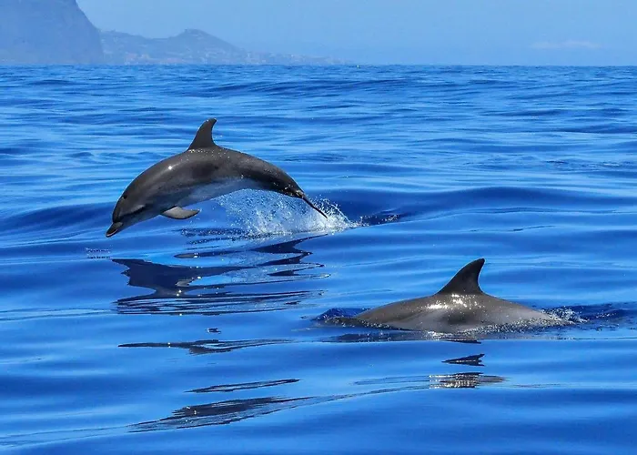 Apartman Incleibles Vistas Al Oceano Y Piscina. Acantilado de los Gigantes